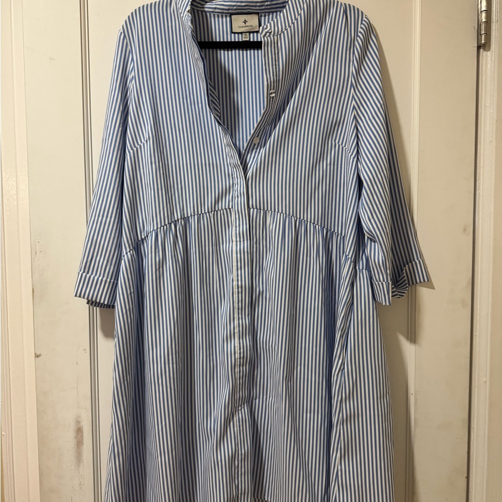 Tuckernuck Blue & White Dress